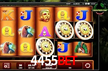 Apostas Esportivas na 4455Bet: Um Guia Completo